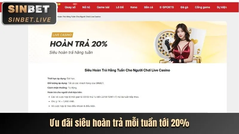 Bắt đầu săn cá và nhận thưởng